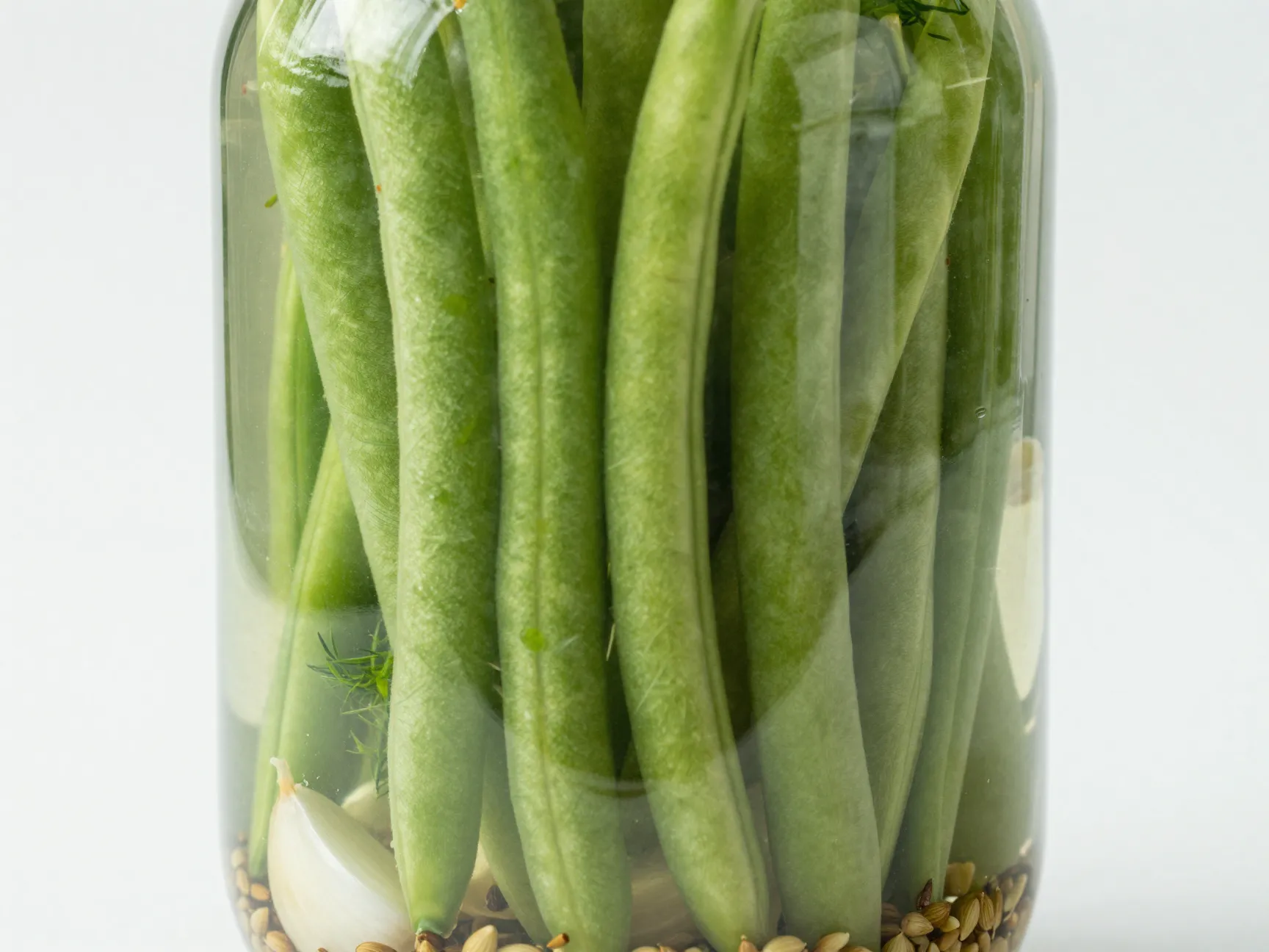 Pickled green beans dilly beans